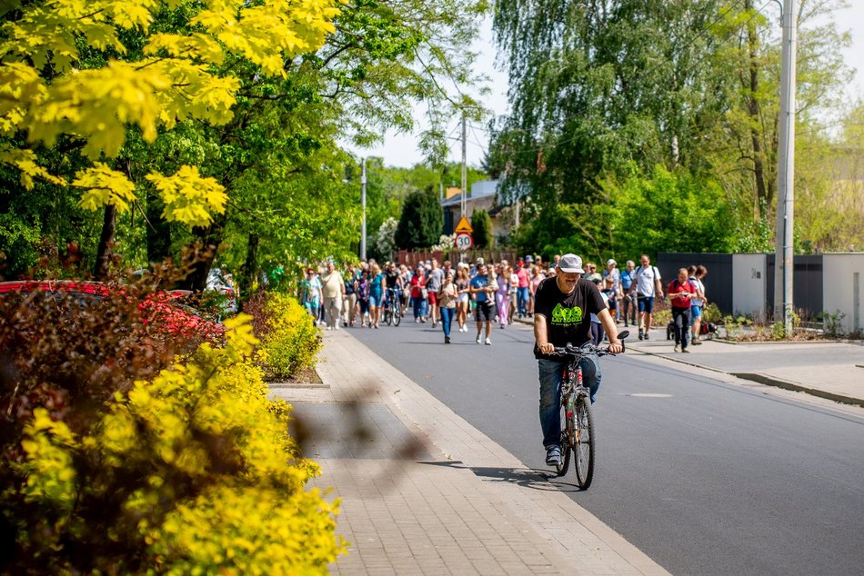 grupa ludzi spaceruje w naturze
