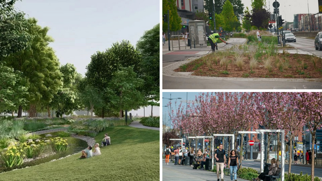 Łódź zna się na zielonych inwestycjach! Tych zmian zazdrości nam cała Polska