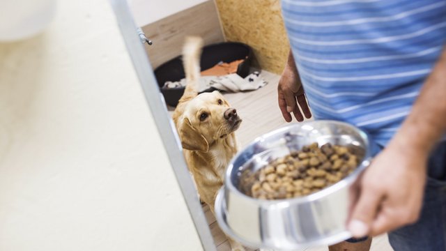 Przynieś karmę, odbierz książkę. Weź udział w akcji w Bibliotece Miejskiej w Łodzi