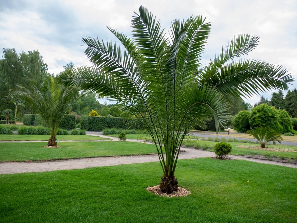 Ogród Fabrykanta w Ogrodzie Botanicznym w Łodzi