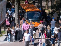 Tłumy w Orientarium Zoo Łódź! Nowości przyciągają jak magnes!