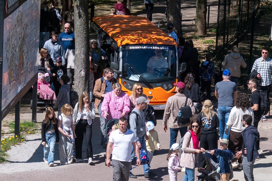 Tłumy w Orientarium Zoo Łódź! Nowości przyciągają jak magnes!