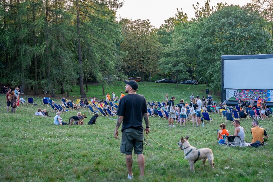 Psia Polówka w Łodzi