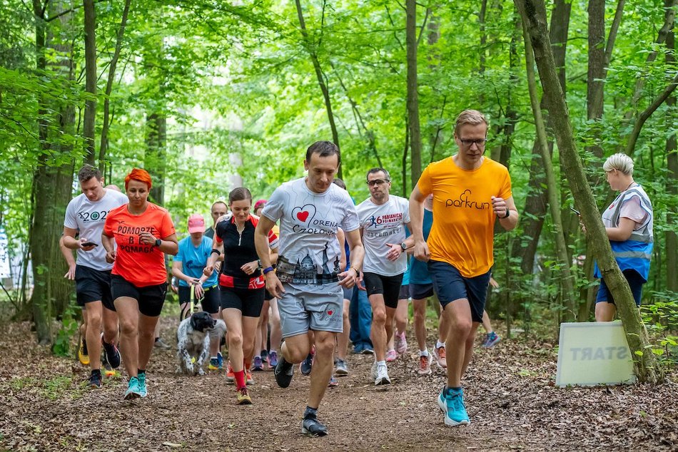 Łódź. Parkrun w Lesie Łagiewnickim w Łodzi. Brałeś udział w biegu? Znajdź się na zdjęciach!