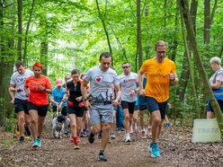 Łódź. Parkrun w Lesie Łagiewnickim w Łodzi. Brałeś udział w biegu? Znajdź się na zdjęciach!