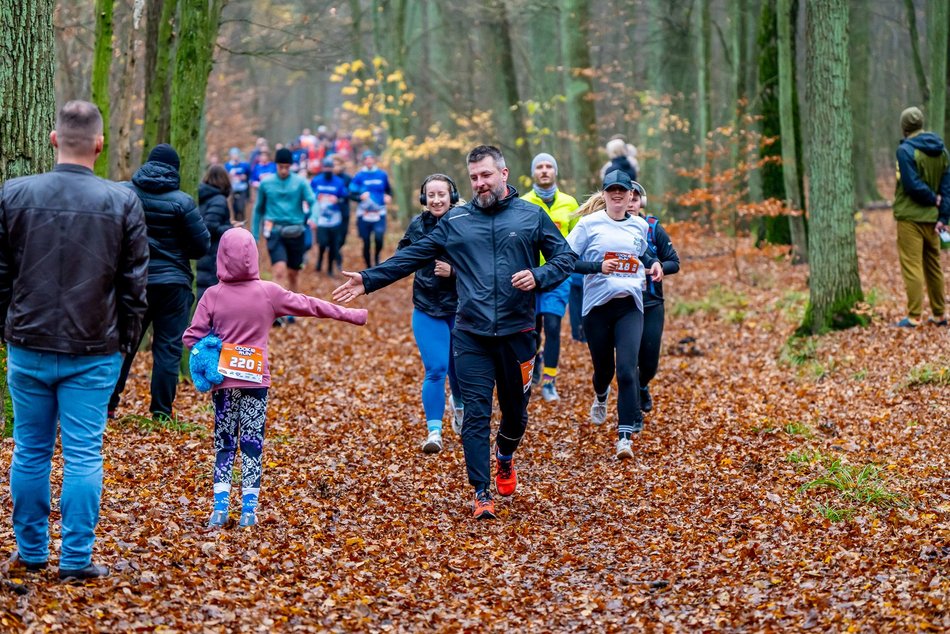 Cookie Run w Lesie Łagiewnickim w Łodzi