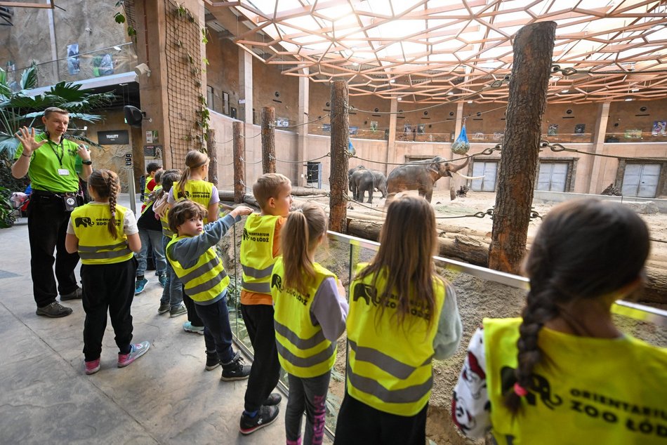 Łódź. Ferie zimowe 2026 w Orientarium Zoo Łódź
