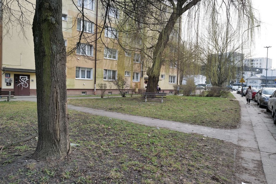 Łódź. Ulica Skrzywana w Łodzi będzie jeszcze zieleńsza! Nowy skwer w ramach Budżetu Obywatelskiego Łódź