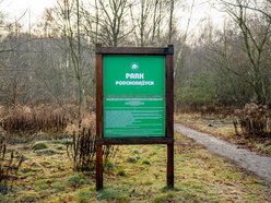 Łódź. Park leśny Podchorążych będzie większy