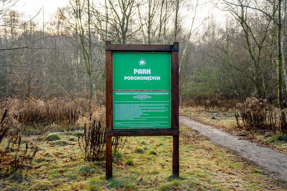 Łódź. Park leśny Podchorążych będzie większy