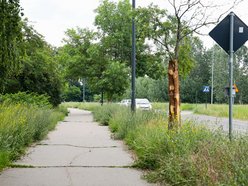 Łódź. Remont Starorudzkiej i św. Wojciecha w Łodzi. Zmiany w ruchu i MPK Łódź