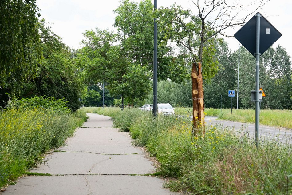 Łódź. Remont Starorudzkiej i św. Wojciecha w Łodzi. Zmiany w ruchu i MPK Łódź
