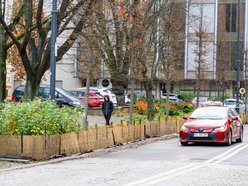 Łódź. Łódź chroni zieleń przed zimą! Pojawiły się już pierwsze osłony na rośliny