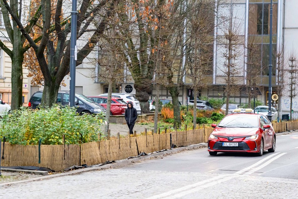 Łódź. Łódź chroni zieleń przed zimą! Pojawiły się już pierwsze osłony na rośliny