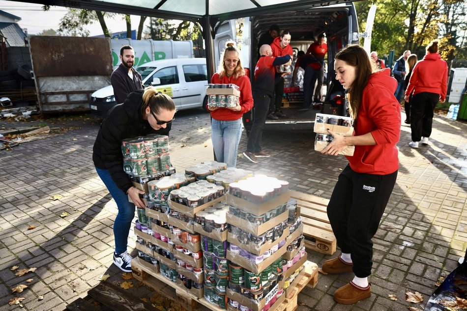 Łódź. Sportowcy na rzecz schroniska w Łodzi. Paleta pełna karmy i wyprawek dla zwierzaków!
