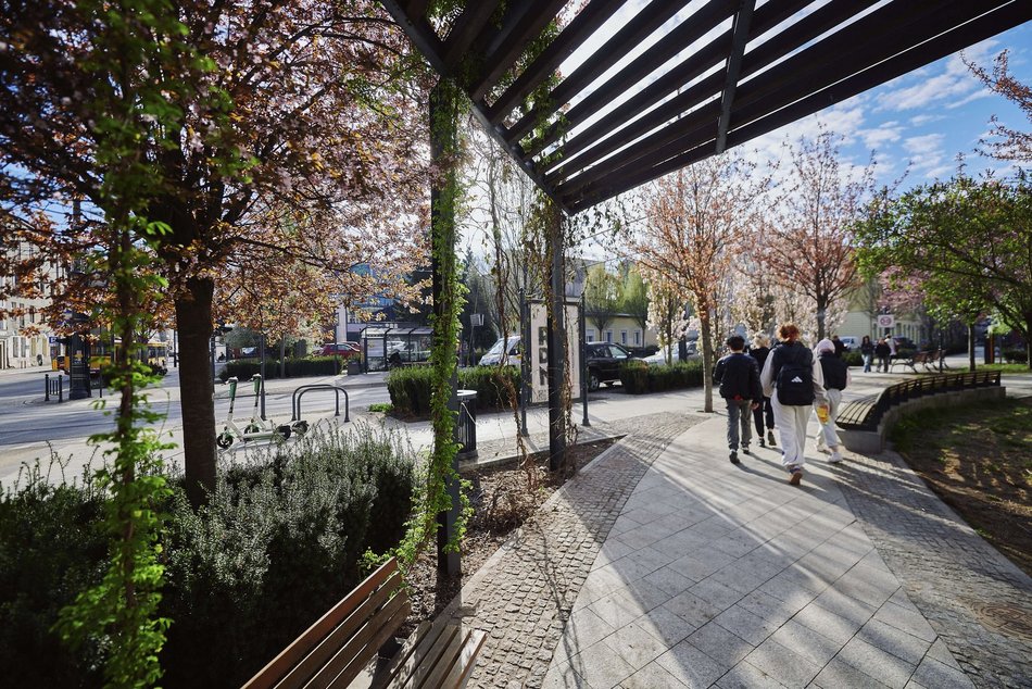 Łódź. Zobacz, jak skwer przy Kilińskiego i Rewolucji w Łodzi mieni się wszystkimi kolorami wiosny