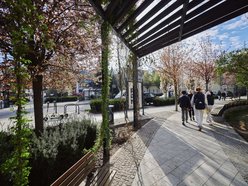 Łódź. Zobacz, jak skwer przy Kilińskiego i Rewolucji w Łodzi mieni się wszystkimi kolorami wiosny