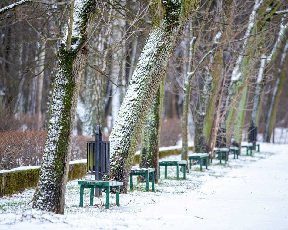 Łódź. Co robić w długi weekend w Łodzi? Teatr Komedii Impro, koncert jazzowy i więcej