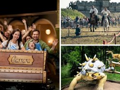 Łódź. TOP 10 miejsc w Łódzkiem na rodzinną wycieczkę. Dinozaury, safari i park linowy