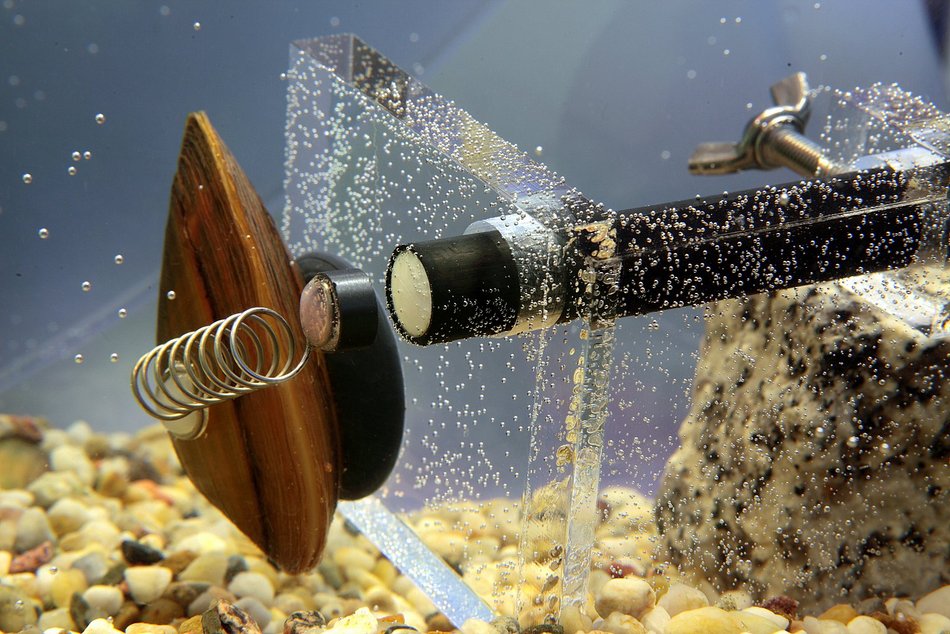 Łódź. Aż 56 nowych pracowników w ZWiK Łódź. Czym się zajmują tajemniczy bohaterowie?