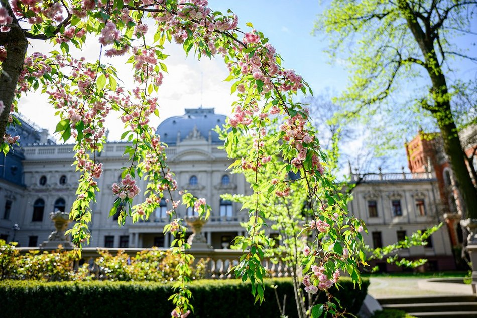 Łódź. Ogród Muzeum Miasta Łodzi otwiera się na wiosnę! Wejście również od strony Manufaktury