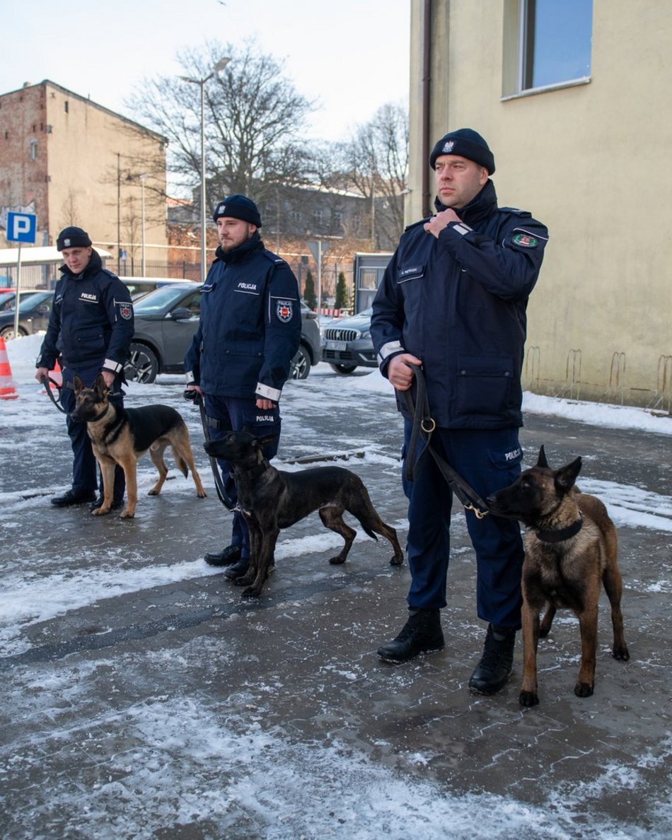 Dwa psy służbowe zasiliły szeregi Komendy Miejskiej Policji w Łodzi