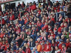 Kibice na meczu Widzewa Łódź z Motorem Lublin. Byłeś? Odszukaj się na trybunach