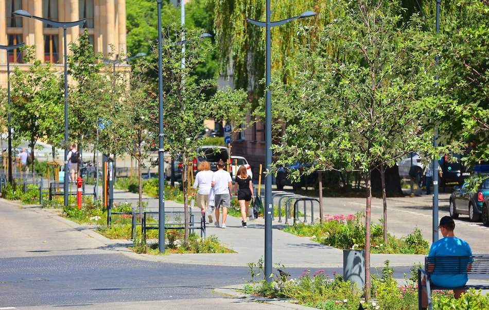 Łódź. Knychalskiego w Łodzi cała w zieleni! Nowe drzewa, kwiaty i rabaty