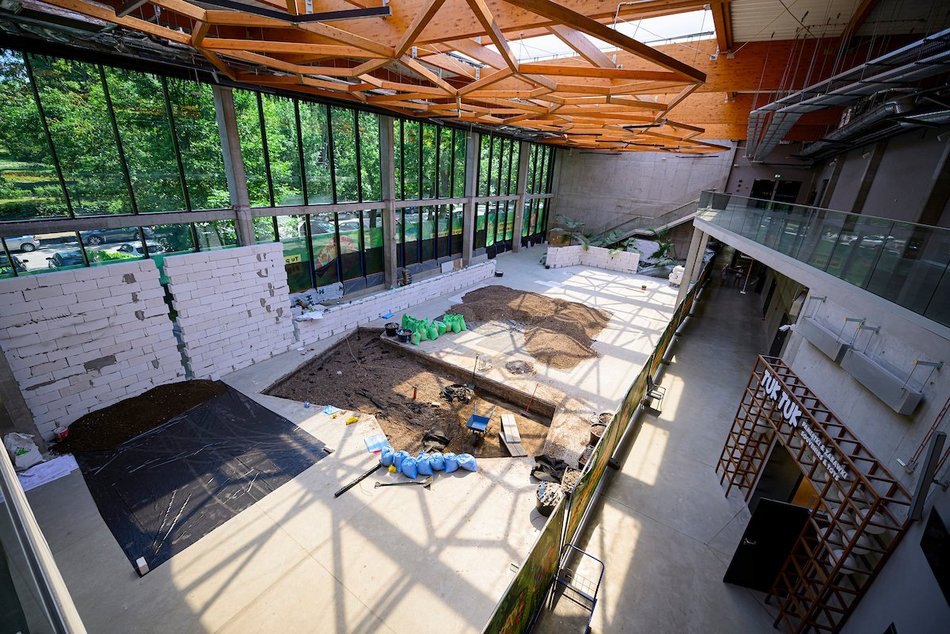 Łódź. Nowa atrakcja dla dzieci w Orientarium Zoo Łódź! Figloraj ze zjeżdżalniami, wieżą i tyrolką