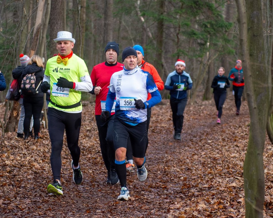 biegacze w lesie