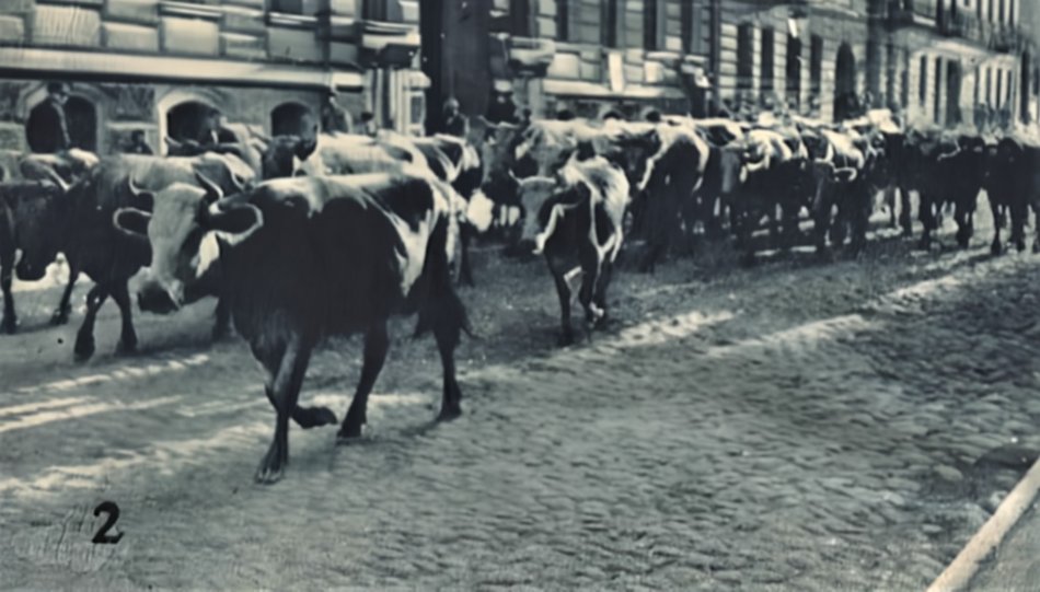 Porządek i czystość w XIX-wiecznej Łodzi. 160 lat temu wprowadzono pierwsze przepisy regulujące kwestie higieny