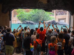 Łódź. Złap słońce i witaminę D w Orientarium Zoo Łódź. Wiosenny weekend z masą atrakcji