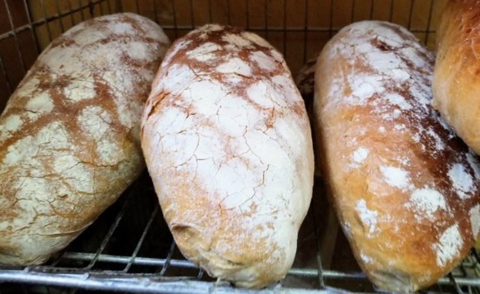 Łódź. Najlepsze piekarnie. Oceny w Google nie pozostawiają wątpliwości!