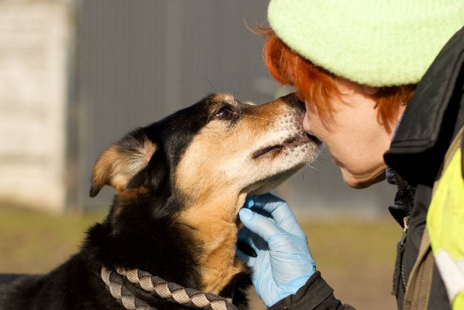 Łódź. Max miłości do adopcji! Wyjątkowy psiak czeka na nową rodzinę w schronisku w Łodzi