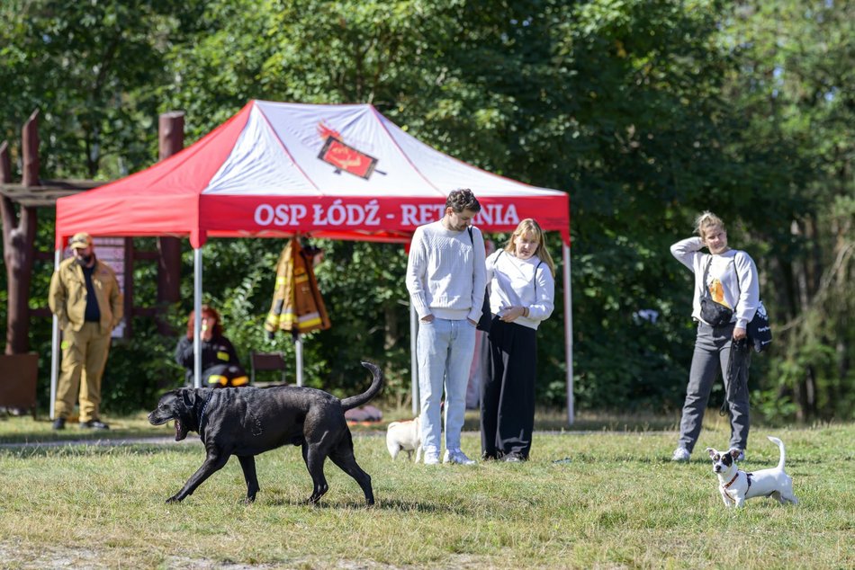 Psiejski piknik rodzinny na Uroczysku Lublinek w Łodzi. Co to była za zabawa!