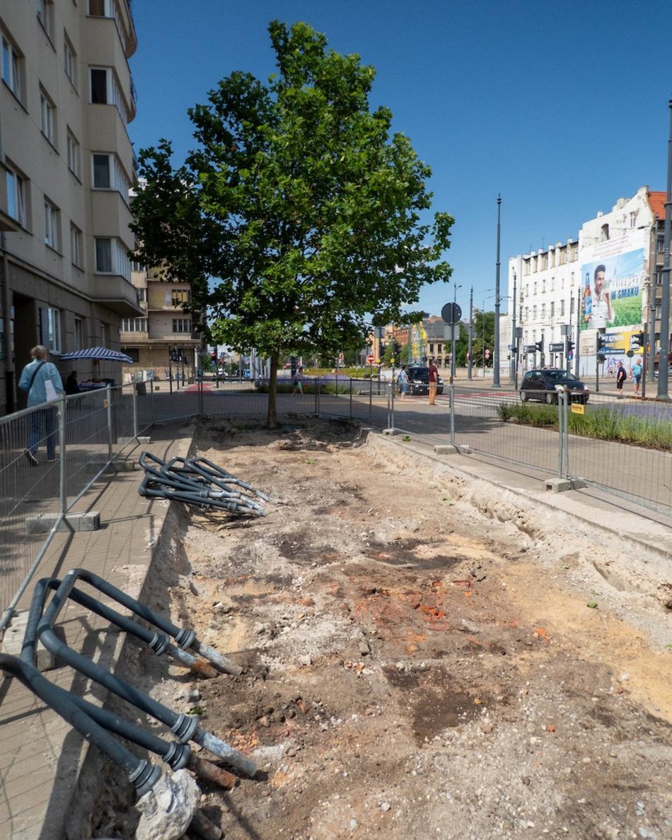 Łódź. Stajnia Jednorożców w Łodzi cała w zieleni! Zamiast betonu będą drzewa i barwne rabaty!