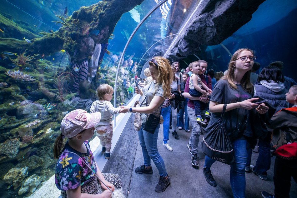 Orientarium Zoo Łódź вже привабив 1 мільйон відвідувачів!