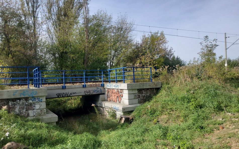 Pod torami kolejowymi jest przepust, którym woda spływała w kierunku Dołów.