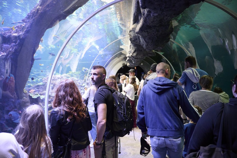 Łódź. Orientarium Zoo Łódź