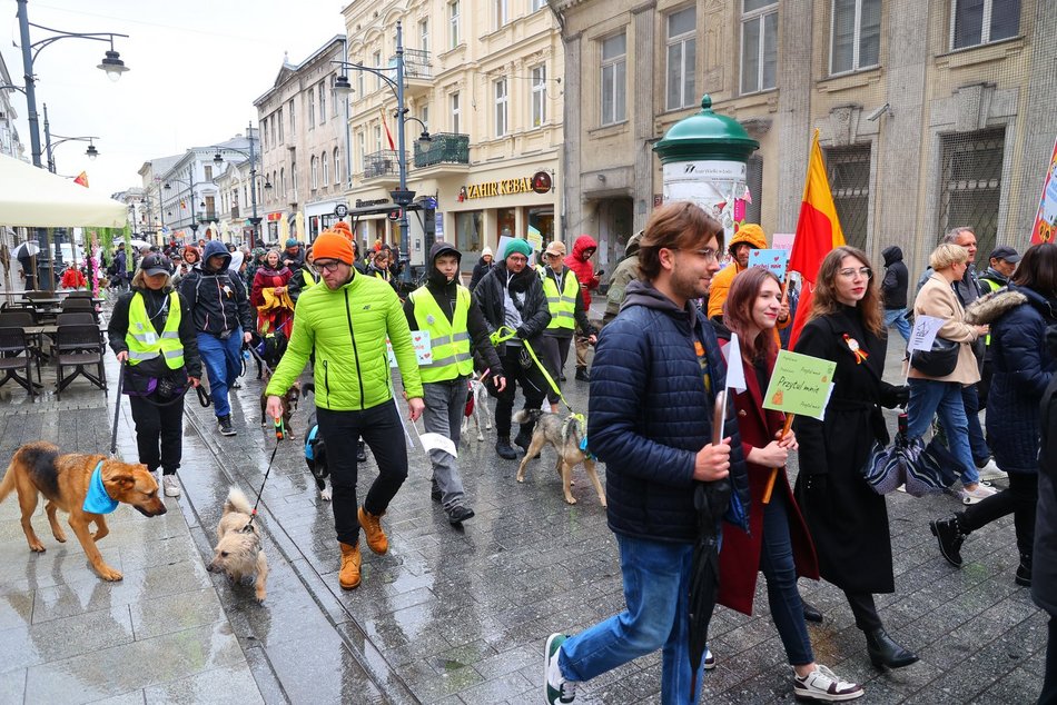 Parada kundelków w Łodzi 2025 przeszła ulicami. Skala słodyczy wysoka jak nigdy!