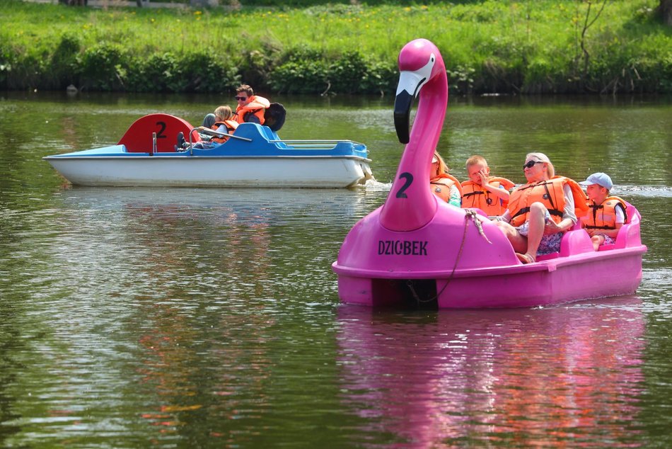 Łódź. Piknik na Młynku w Łodzi. Dmuchańce, alpaki, gigantyczne kręgle i rowery wodne
