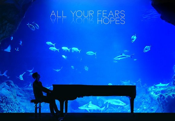 Łódź. Maciej Tubis, fortepian i... rekiny! Orientarium Zoo Łódź planem wyjątkowego teledysku 