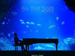 Łódź. Maciej Tubis, fortepian i... rekiny! Orientarium Zoo Łódź planem wyjątkowego teledysku 
