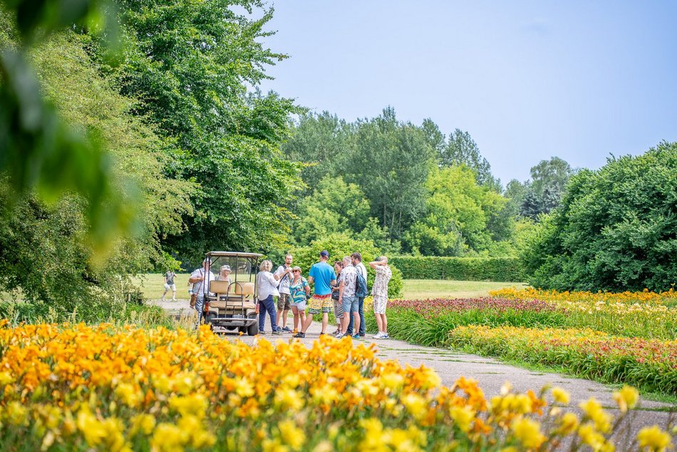 Decyduj o losach Ogrodu Botanicznego w Łodzi. Przyjdź na spotkania, warsztaty i spacery badawcze