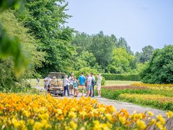 Decyduj o losach Ogrodu Botanicznego w Łodzi. Przyjdź na spotkania, warsztaty i spacery badawcze