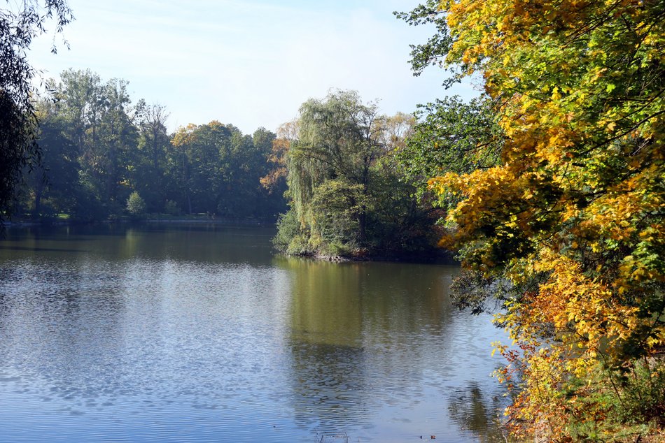 Złota polska jesień w parku na Zdrowiu