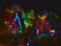 Park Staromiejski na Light Move Festival 2025 Łódź. Widzieliście go w takiej odsłonie?