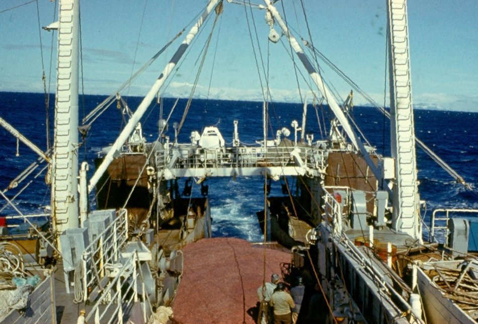 Łódź. Wyprawa krylowa naukowców z Łodzi