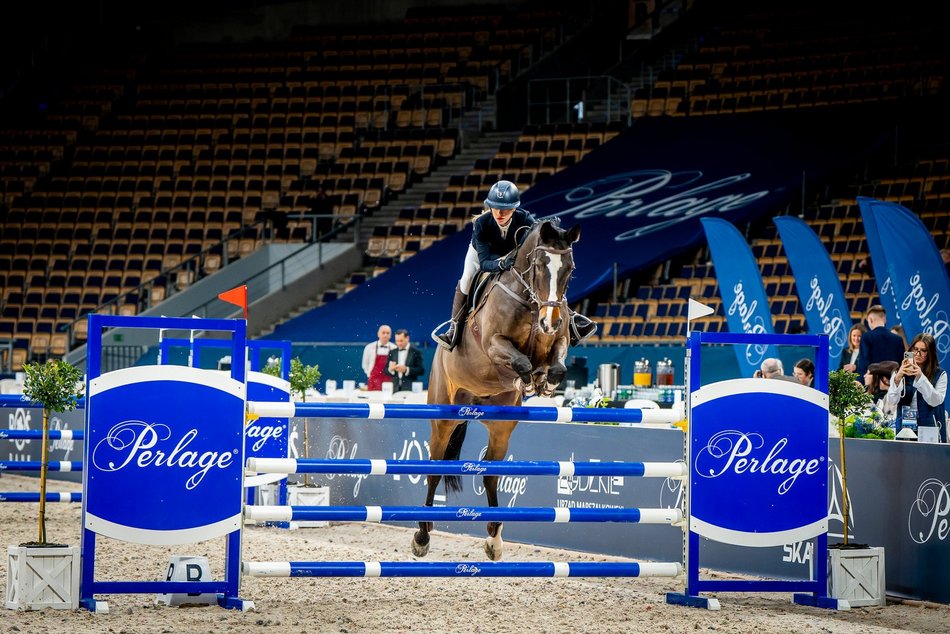 Łódź. Cavaliada Tour w Atlas Arenie w Łodzi wystartowała! Zobacz zdjęcia z pierwszego dnia zmagań