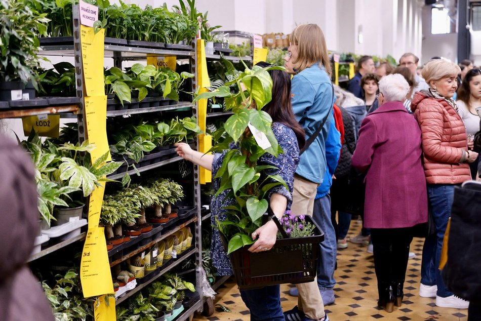 Łódź. Przyjdź na Festiwal Roślin w EC1 Łódź! Nowe gatunki, okazy kolekcjonerskie i więcej